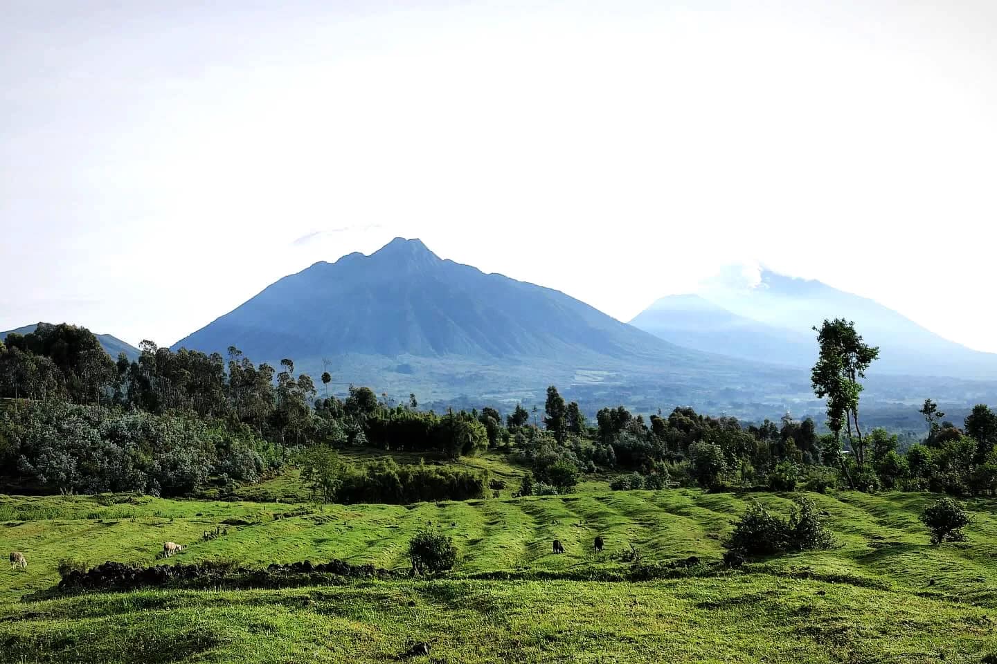 Volcanoes National Park approach from Musanze Rwanda