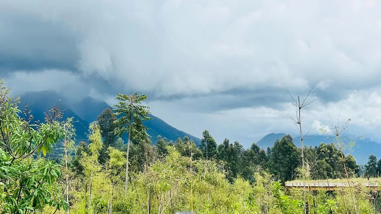 Best Time to Visit Rwanda