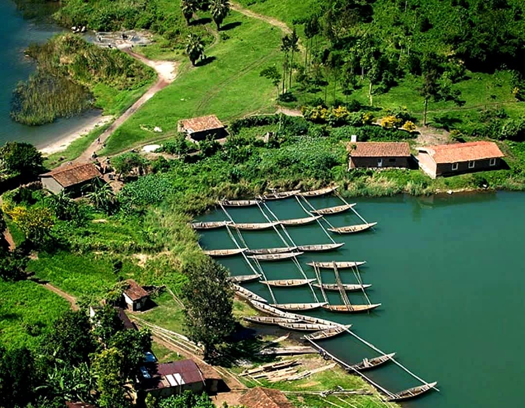 View toward Lake Kivu from Volcanoes NP Rwanda